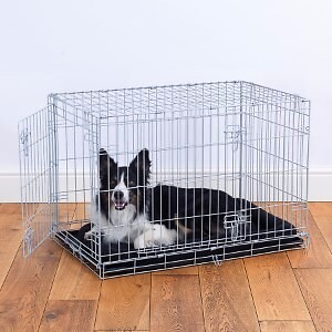 midwest medium dog crate